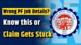 EPFO Alert: Wrong job details can delay PF transfer and reject your claim