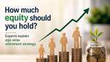 How much equity to hold in your portfolio? Experts explain age-wise retirement strategy