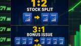 1:2 Stock Split, 3:1 Bonus Issue: This microcap soars 180% in a year—do you own it?