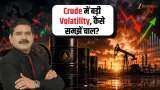 crude oil volatility support levels anil singhvi crude oil volatility support levels anil singhvi