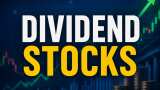 Dividend Stocks: SBI, MRF to Tata Consumer, these companies announce bumper payouts after Q4 results; do you own?