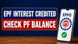 EPF Interest Credited or Not? Here’s how to check PF balance online