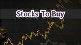 6 Stocks To Buy For Long Term: Analysts recommend 2 largecap, 4 smallcap scrips; Krishna Institute on the list