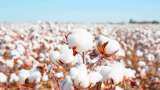Commodities Live: Textile Ministry to hold meeting regarding cotton prices on Monday