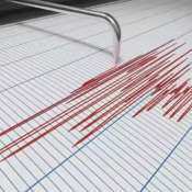 Earthquake Hits North India: Mild tremors felt in parts of Punjab, Haryana