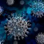 Covid-19 cases today, June 9: India logs 169 new coronavirus infections, active cases dip to 2,555