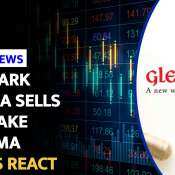 Glenmark Pharma Shares Fall Over 5% After Nirma&#039;s Acquisition News