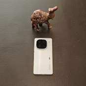 iQOO 12: How capable is this gaming smartphone&#039;s camera? Find out