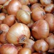 Onion export ban to continue till March 31 as Centre remains focused on price, availability