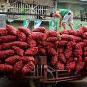Govt lifts onion export ban; imposes minimum export price of $550/tonne