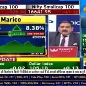 Analyzing Marico&#039;s Performance: Management&#039;s Take, Marico&#039;s Conference Call Highlights