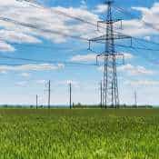 Power Grid share price target: PSU power stock slips 5% post-Q4 results; should you buy, sell or hold?