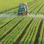 Controlling chemical contamination in agricultural raw materials must: FSSAI