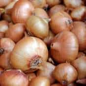 Farmers briefly halt onion auctions at Lasalgaon APMC after dip in prices 