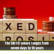 Highest SBI FD Rates on ₹8 Lakh for 1-Year, 3-Year, and 5-Year Tenures