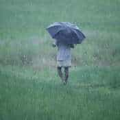 Weather Update: Rain, thunderstorms likely in most districts of West Bengal 