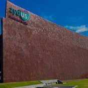 Zydus Wellness declares Rs 6/share dividend; catch details here