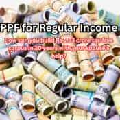 PPF for Regular Income: With spouse's help, how to build Rs 1.33 crore tax-free corpus in 20 years