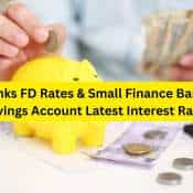 Top Small Savings Account Rates vs PSU Banks FD Rates: These banks are offering higher rates on their savings account deposits compared to FDs of top PSU banks
