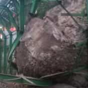 Uttarakhand: Haridwar-Dehradun rail route disrupted after boulder falls on track; no injuries reported