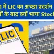 lic q1 growth stock rally ceo interview fraud detection