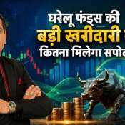 Can DII inflows support market benchmarks for now? Anil Singhvi weighs in