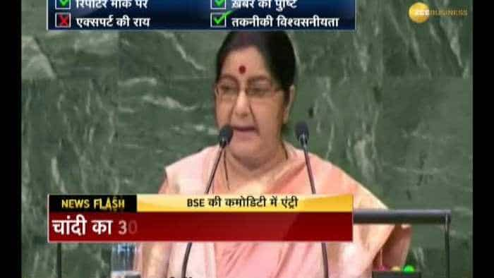 India slams Pakistan on terror at UNGA session