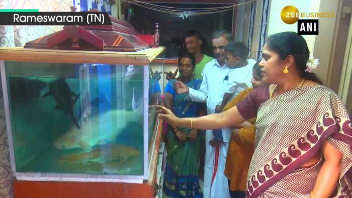 Rameswaram family celebrates birthday of pet fish