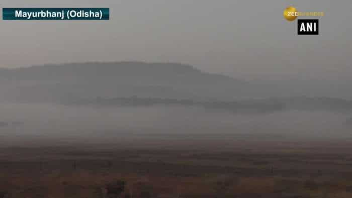 Blanket of frost covers Similipal Tiger Reserve in Odisha