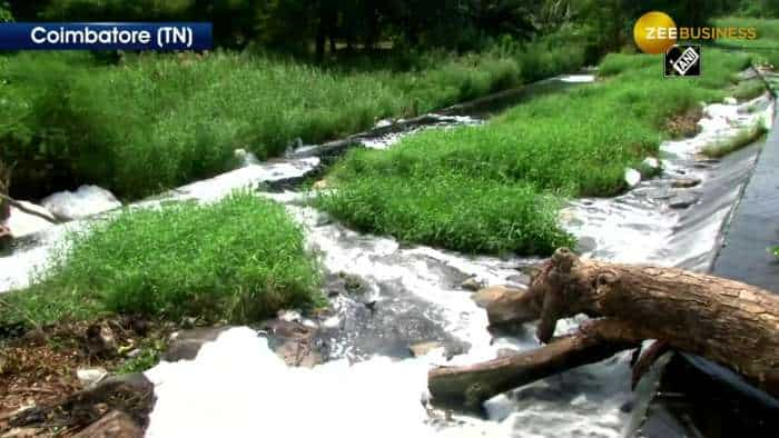 Hundreds of dead fish float in Coimbatore&#039;s Nanjundapuram check dam