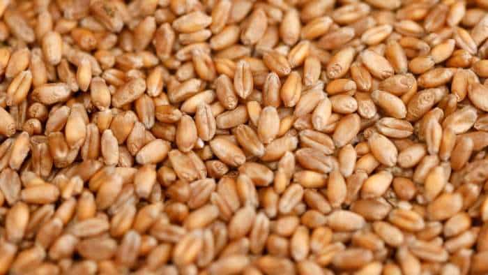 Government announces some relaxation in wheat export notification; allows wheat consignment already registered with customs prior to the order
