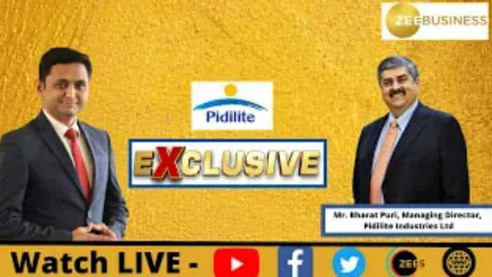 Pidilite Industries MD Bharat Puri In Conversation With Zee Business