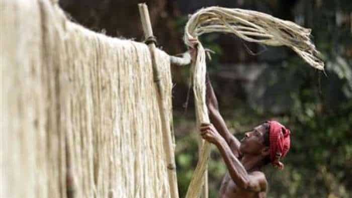 Centre decides to lift the price capping of raw jute from May 20