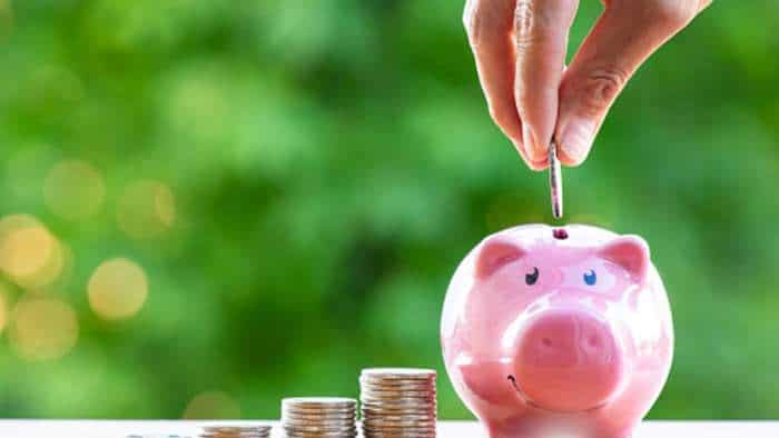 Money Guru: Flexi Cap Or Multi Cap Fund Is Better? Know The Difference From The Expert And What Are The Benefits