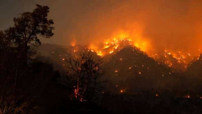 Massive Fire In The Forests Of California, Watch This Video For Details