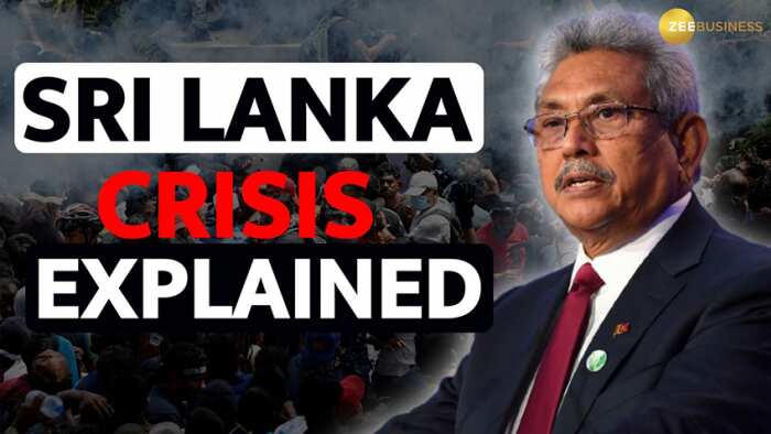 Sri Lanka Economic Crisis Explained: The Hows and whys behind the turmoil - What led to this situation?