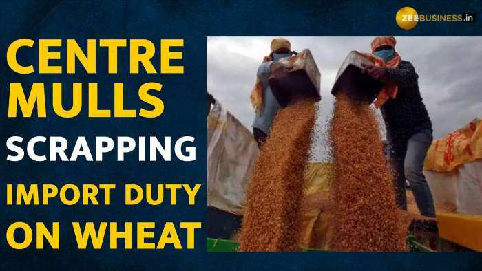 Centre mulls scrapping import duty on wheat to curb skyrocketing prices