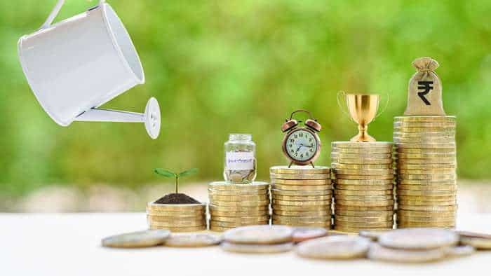 Money Guru: Which Funds To Include In Your Portfolio? Where To Invest During Emergency? Expert Reveals