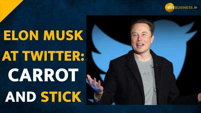 ‘Chief Twit’ Elon Musk disrupts life at Twitter in just a week – All you need to know