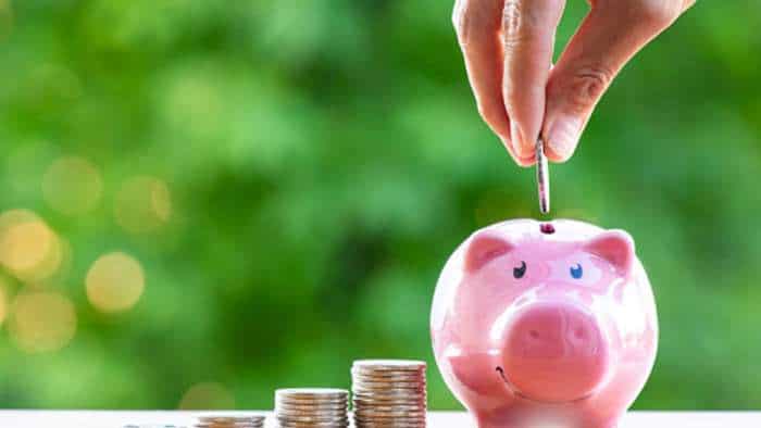 Money Guru: What To Keep In Mind Before Investing In Sector Funds? 