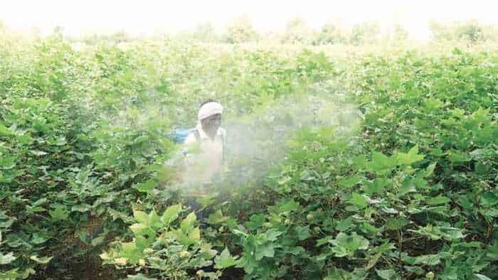 Government Approves Online Sale Of Insecticides, Which Companies Will Benefit From It?