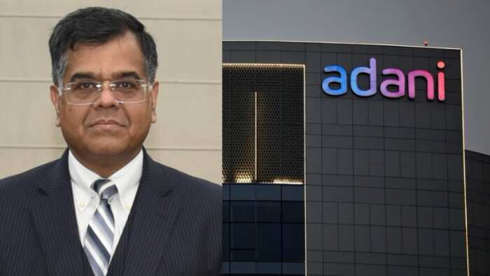 &quot;Storm in a tea cup:&quot; Finance Secretary on the rout in Adani stocks
