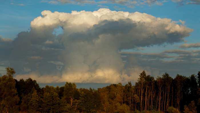 US agency predicts El Nino likely to affect monsoon; know how it will impact crops 