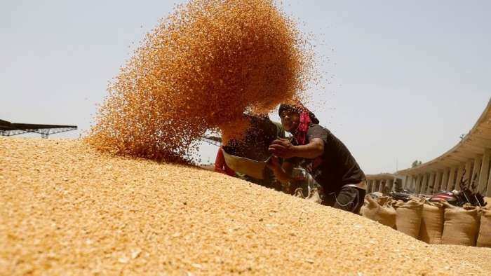 Rabi crops like wheat not much impacted by untimely rains, hail: Agriculture Minister