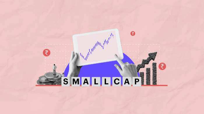 Money Guru: How Will Investing In Small-Cap Funds Increase Returns? Experts&#039; Decode 