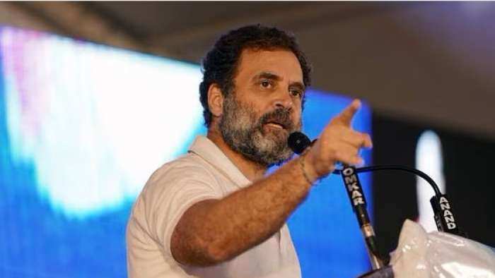 BJP Is A Stolen Govt, It Destroyed Democracy 3 Years Back: Rahul Gandhi In Karnataka