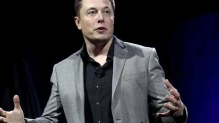 Verified content creators on Twitter to be paid for ads in replies, says Elon Musk