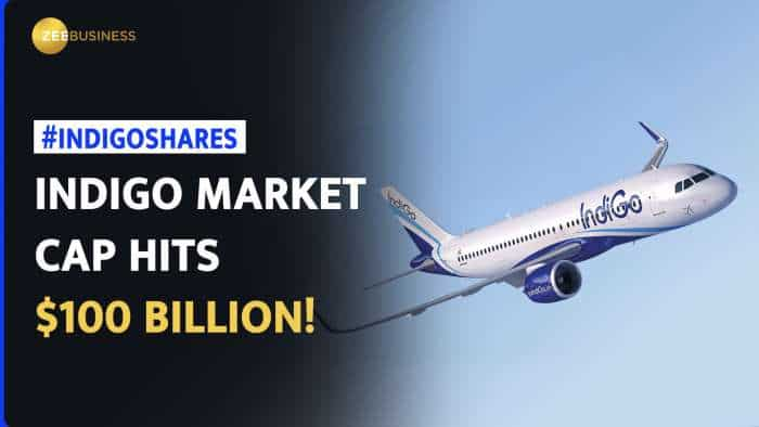  IndiGo becomes India&#039;s first airline with market cap of over $100 billion