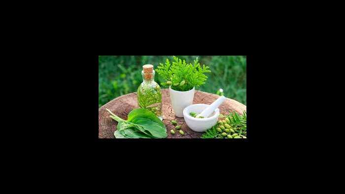 Aapki Khabar Aapka Fayda: Is it necessary to make regulation regarding herbal treatment?