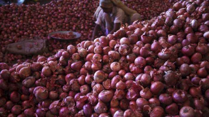 Government exempts &#039;Bangalore Rose&#039; onion from export duty